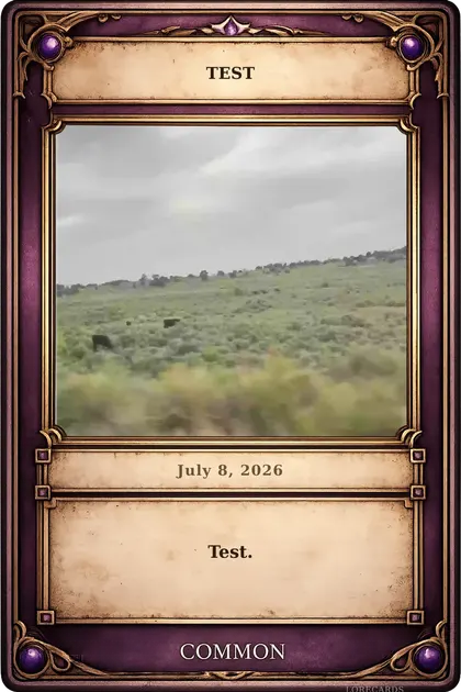 Test